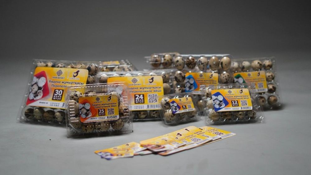 Сапалы Бөдене жұмыртқасы сатылымда