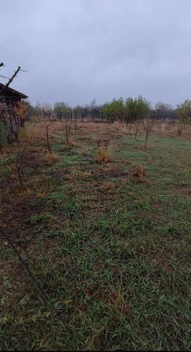 Casa de vanzare Scutelnici