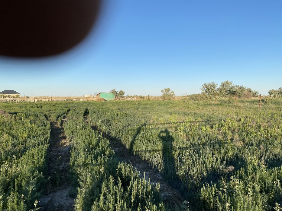 Земля 12 соток өзектің жагасы