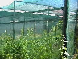 Plasa 35-40%Umbrire Culturi 4x50m;5x50m; 6x50m; 8x50m;9x50m; 10x50m