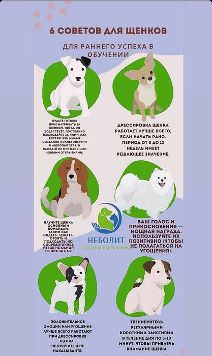 Только ответственным людям