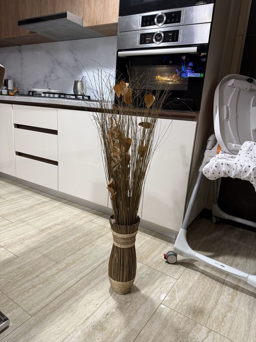 Planta decorativa !!