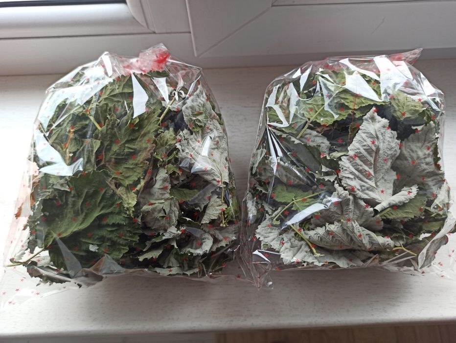 Листья малины сушеные и свежие