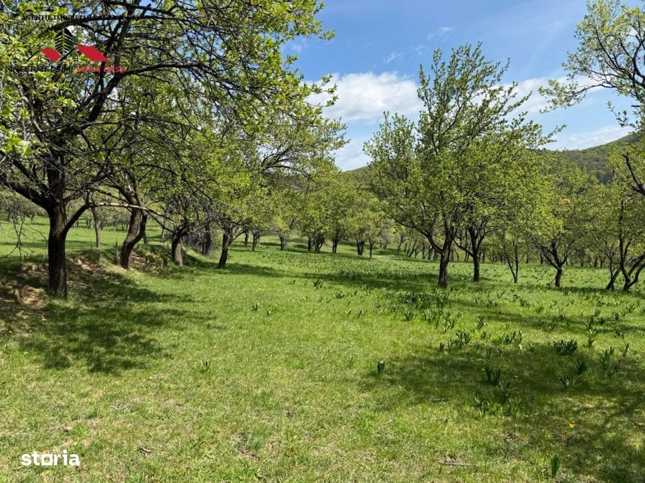 Teren intravilan 8330 mp de vanzare in Inuri Jud Alba