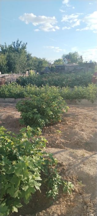 Продам дачу на баме г. Сатпаев