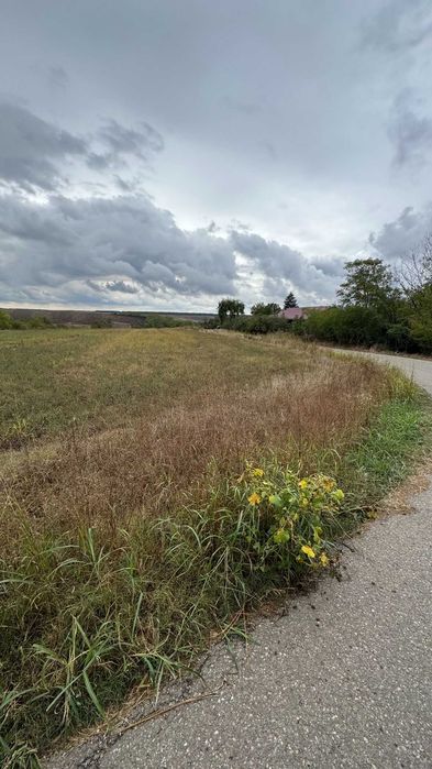 Teren Intravilan 1400 MP in Parcul National Comana,Vlad Tepes,Giurgiu