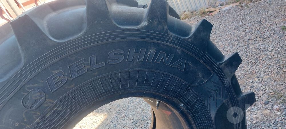 Belshina 23.1R26 kombaynga sifatli balon