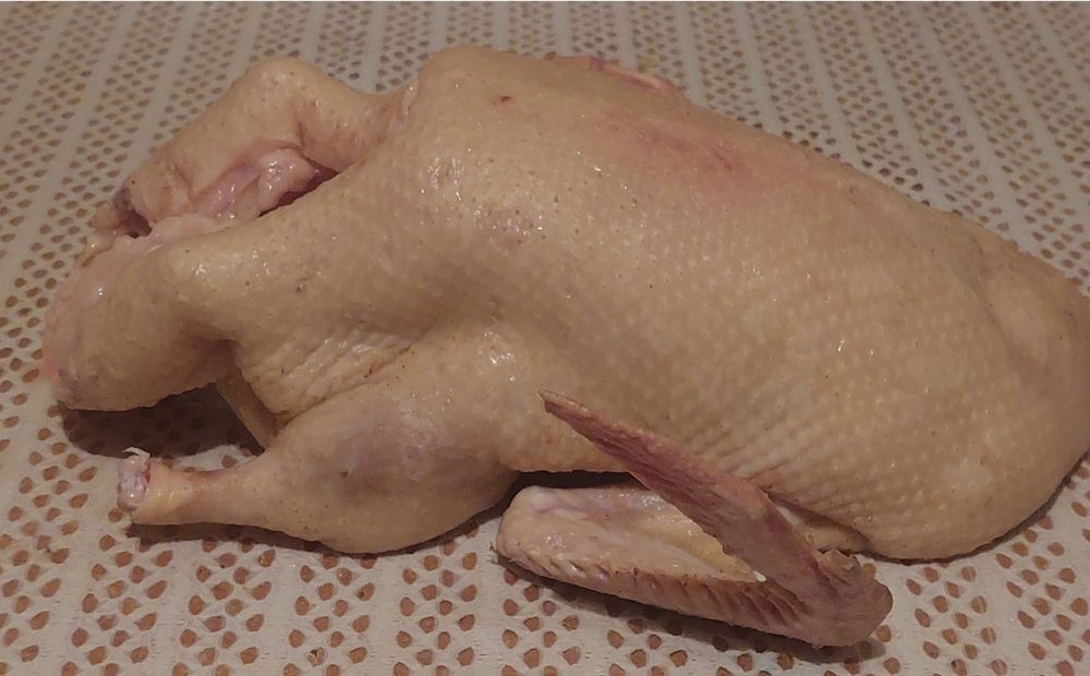 Продам домашних гусей