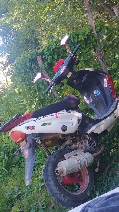 Scuter chinezesc Gy6