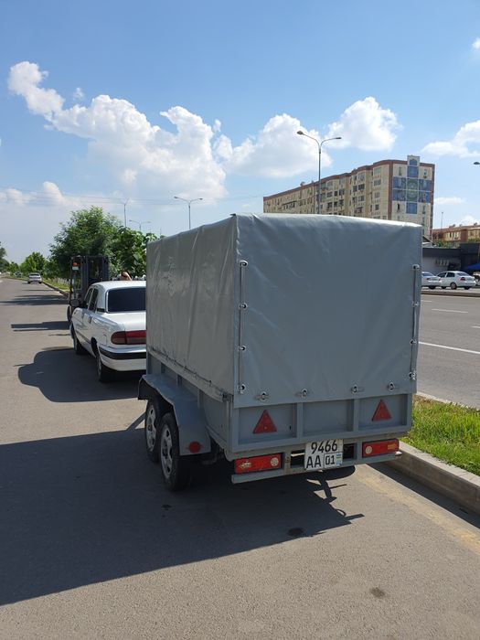 Волга 3110 + тележка