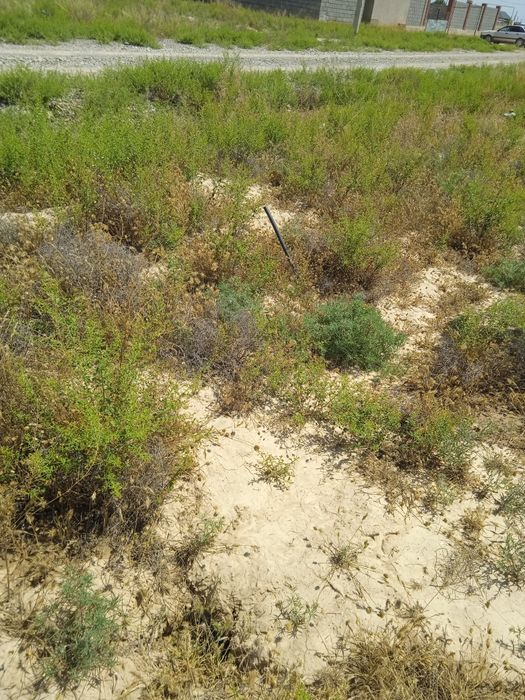 Участок в районе Ортак