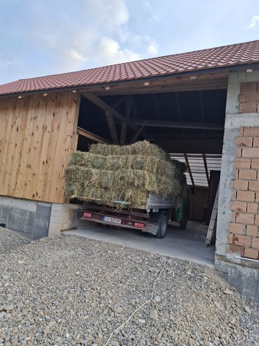 Vând baloti de lucernă  și fân