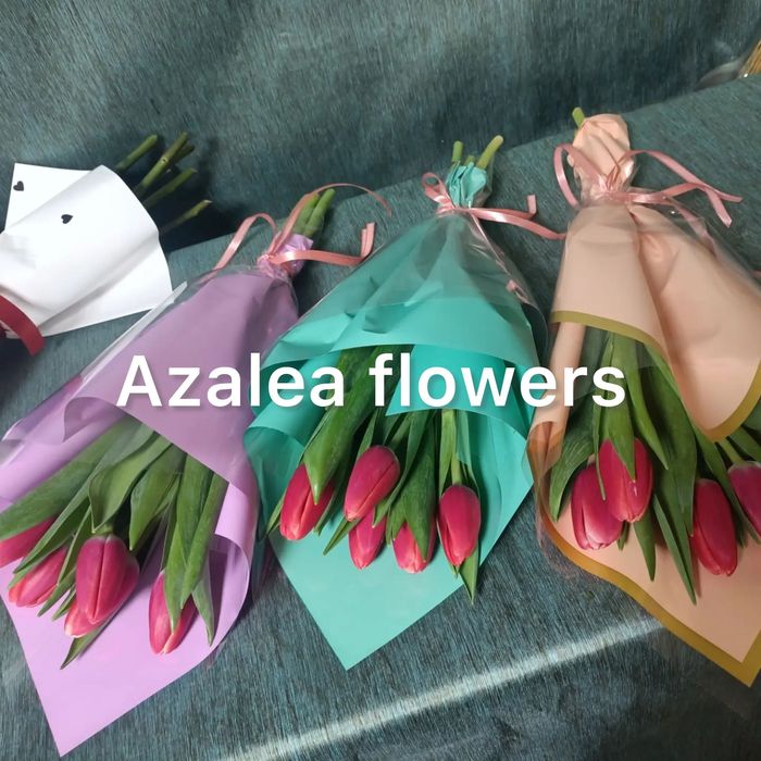 Тюльпаны тюльпан цветы розы