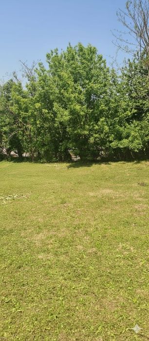 Urgent Teren și Casă Bătrânească