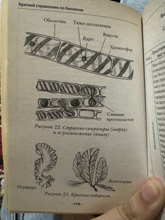 Краткий справочник по биологии в себе содержит все классы биологии