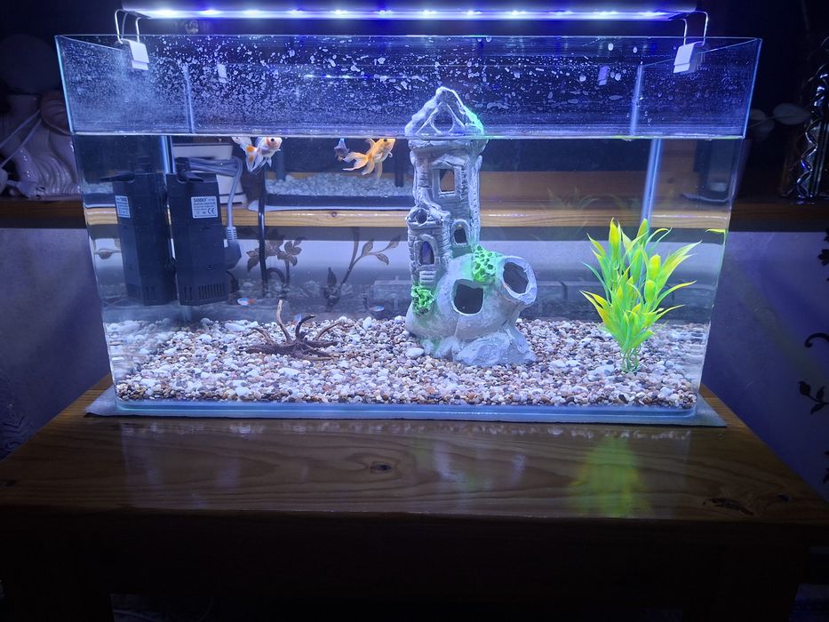 Akvarium sotiladi