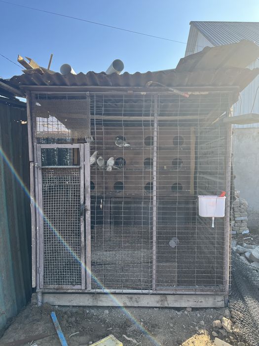 валер для голуб или собак