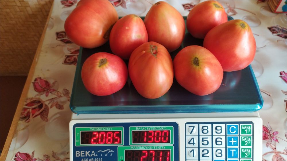 Продам помидоры домашние