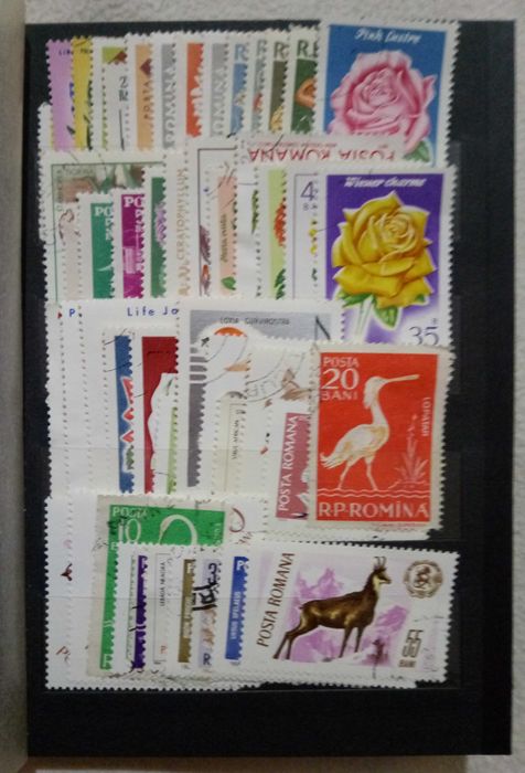 Clasor cu 390 timbre romanesti