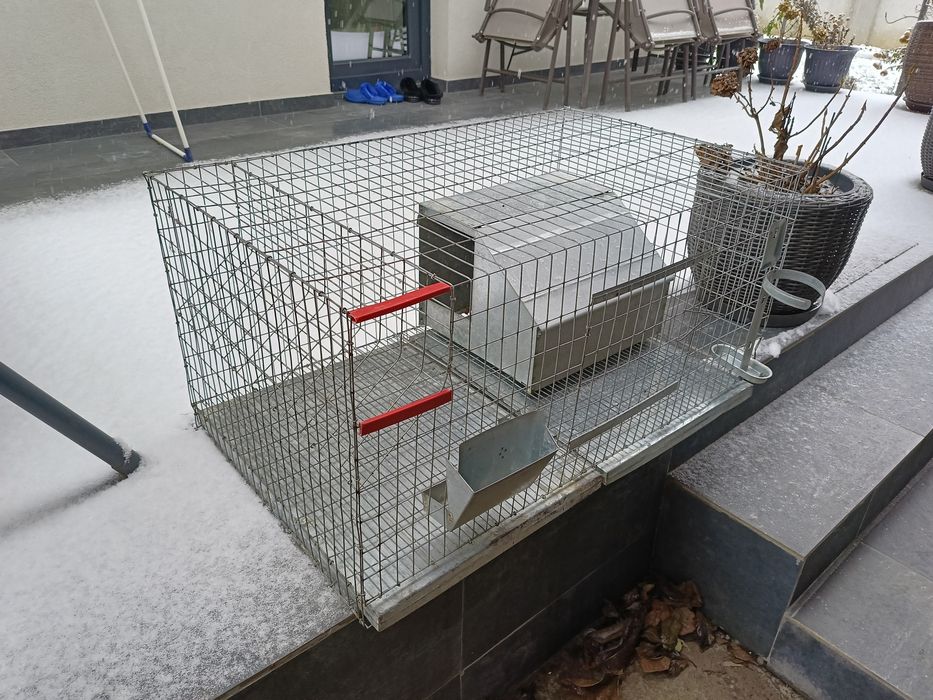 Cuști pentru iepuri