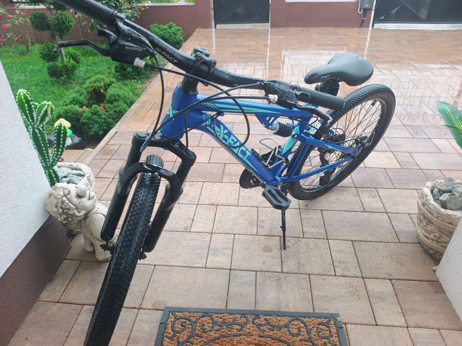 Bicicleta X - Fact