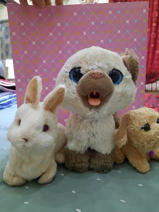 Игрушки Fur real
Три игрушки от Fur real: cобачка, кролик и кошечка. В