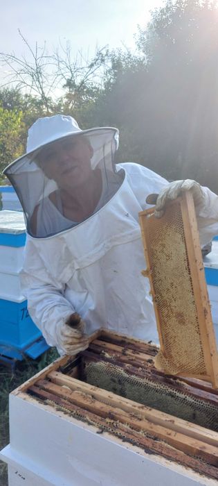 Натурален пчелен мед