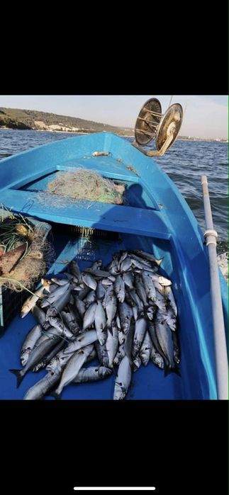 Лодка мичуринка.