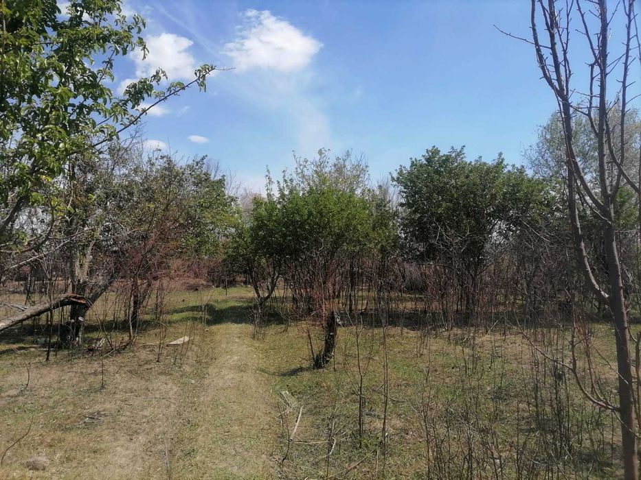 Дачный  участок 20 соток