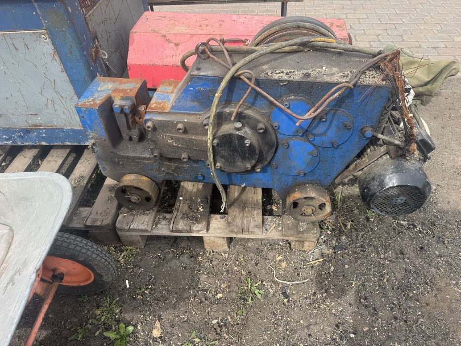 Гелиотина гибочный