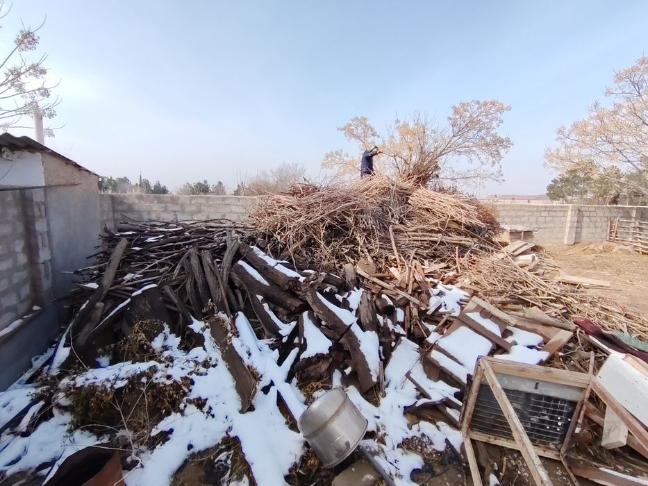 O'tin sotiladi kunda shappa