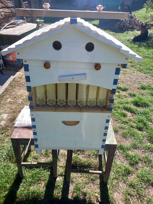 Pentru Miere de albine necentrifugata