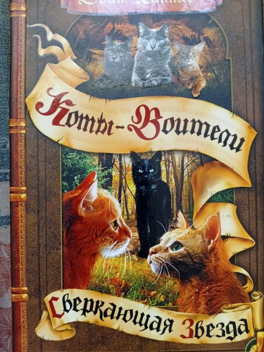 Продам книги коты воители
