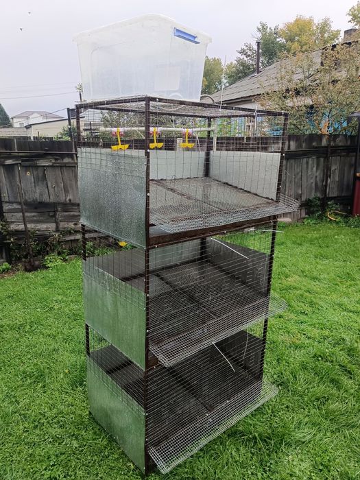 Клетки для курей несушкк