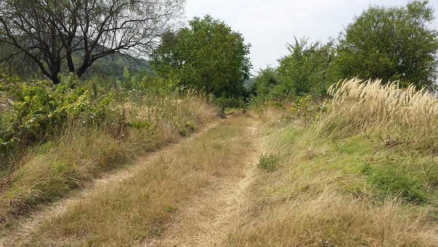 Панорама 3дка гр.Белослав