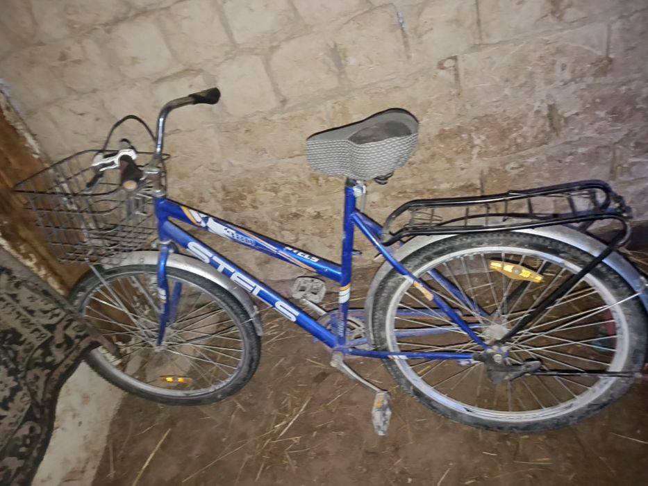 Жаксы журип турған велик