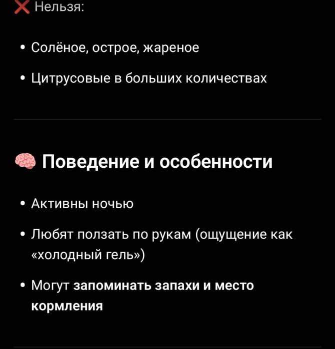 Улитки Ахатин  детёныши