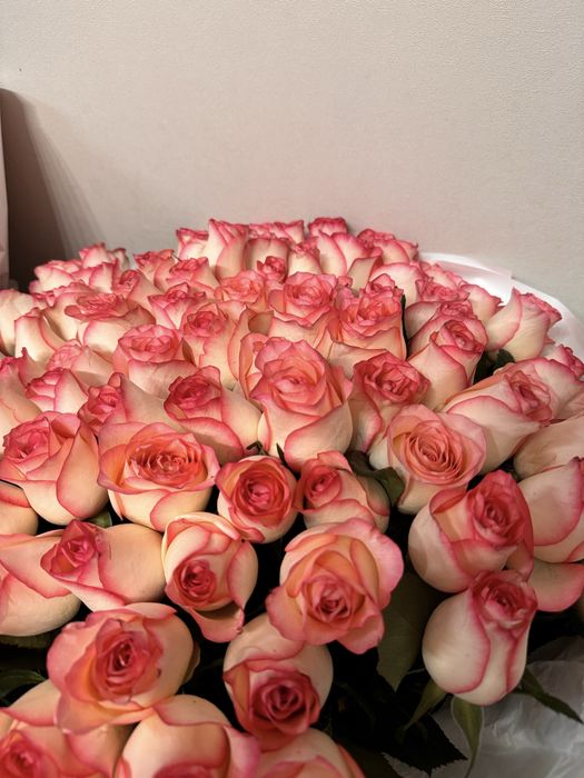 101 роза огромный букет