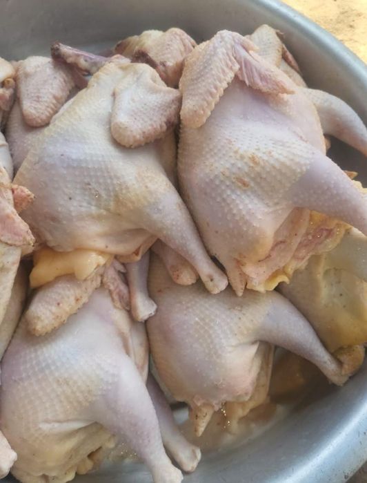 Курица , петрушки, индейки и рыбы