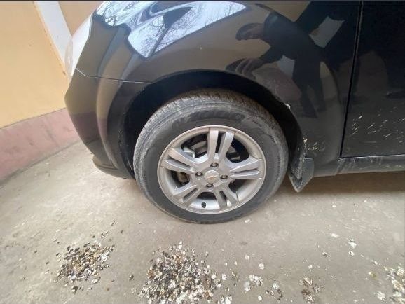 Нехиа3 автомат халол насияга берилади