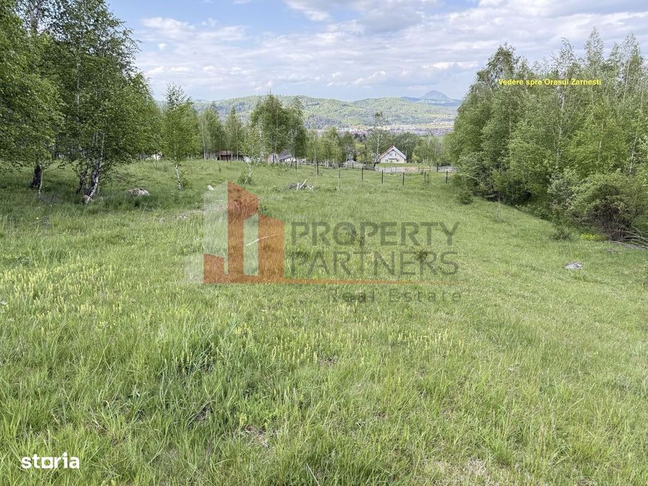 Teren intravilan 5.261 mp Tohănița | Deschidere 49 m | Utilități, lâng