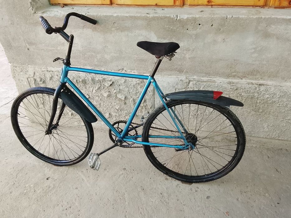 Arliyonik,  razmeri 24