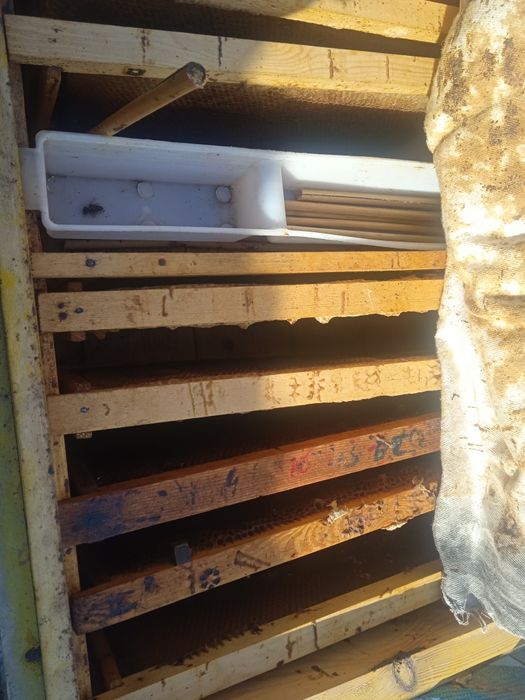 Asal ari quti ramkalari bilan