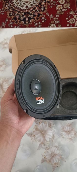 Эстрадные колонки DL Audio phoenix sql neo 165