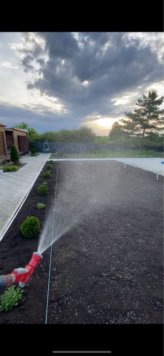 Газон зеленый  сочный  газон