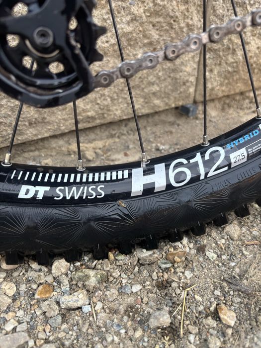 Specialized status