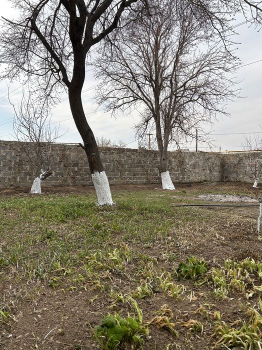 Продам дачу ( Металлург)