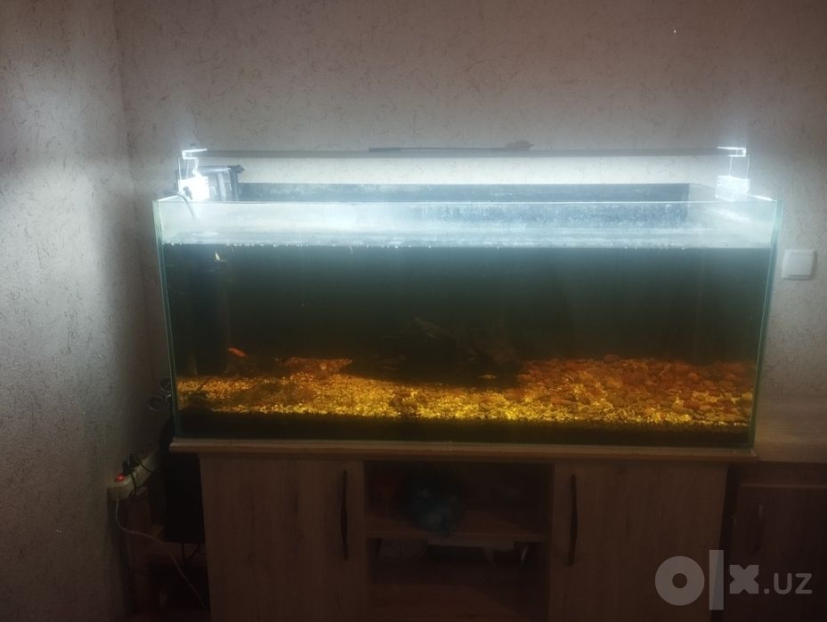 Акварюм сотилади