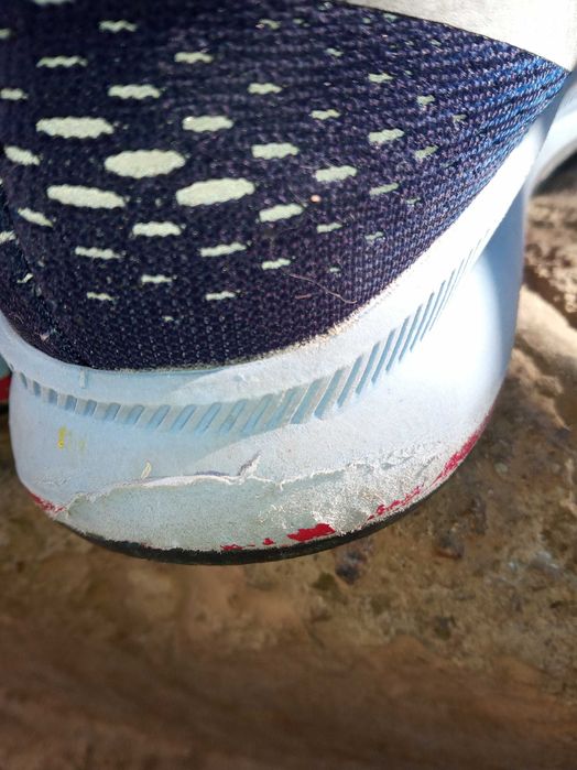 Nike Zoom Pegasus 33