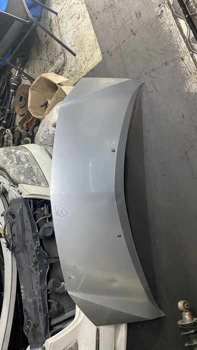 Ноускат для Альфард